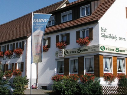 Фото:  Gr&amp;uuml;ner Baum